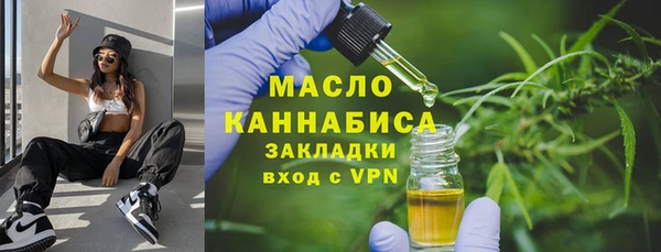ешки Бородино