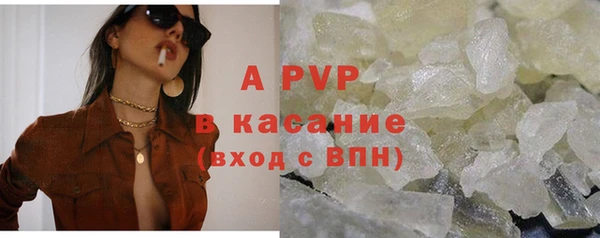 ешки Бородино