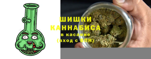ешки Бородино
