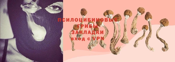 ешки Бородино