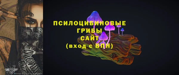 шишки Верхнеуральск