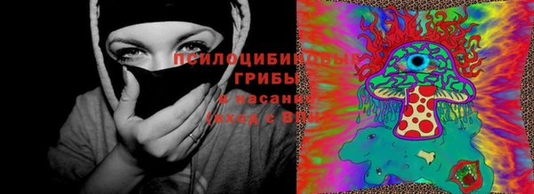 ешки Бронницы