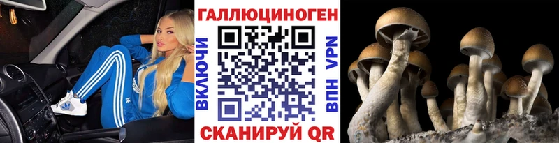 Псилоцибиновые грибы Cubensis  Купить  Красавино 